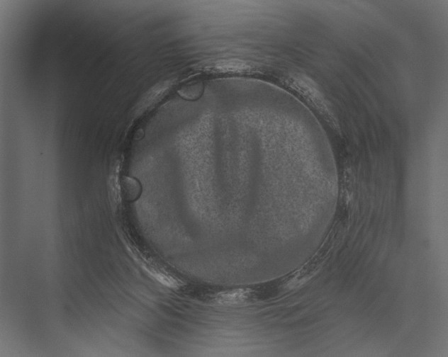 X0000076070116200610061612