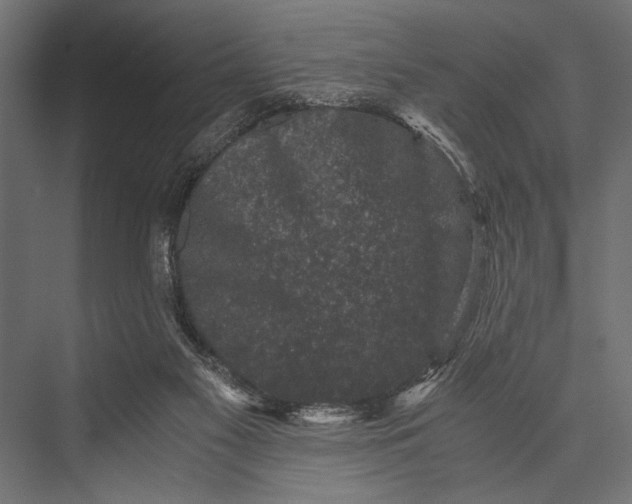 X0000076070117200610061612