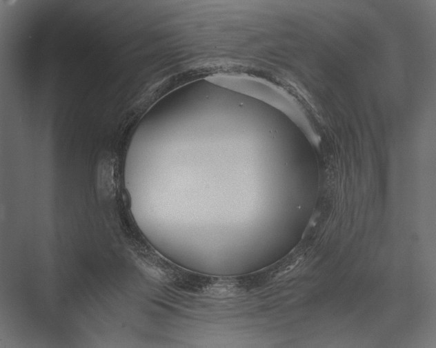 X0000076070119200610061612