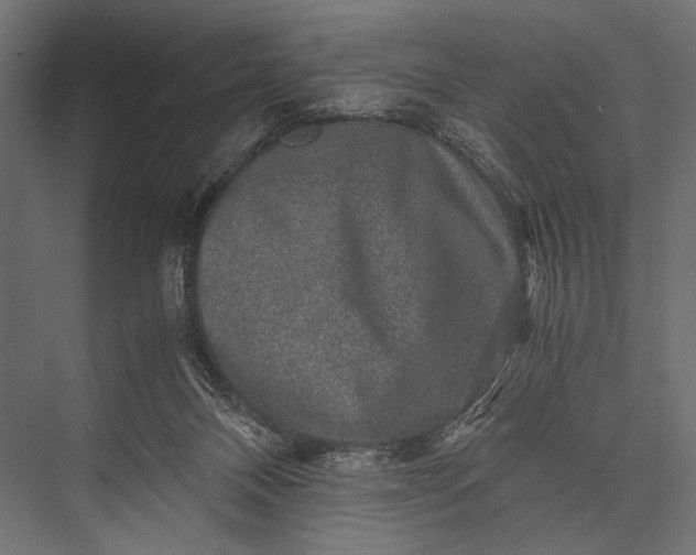 X0000076070120200610061612