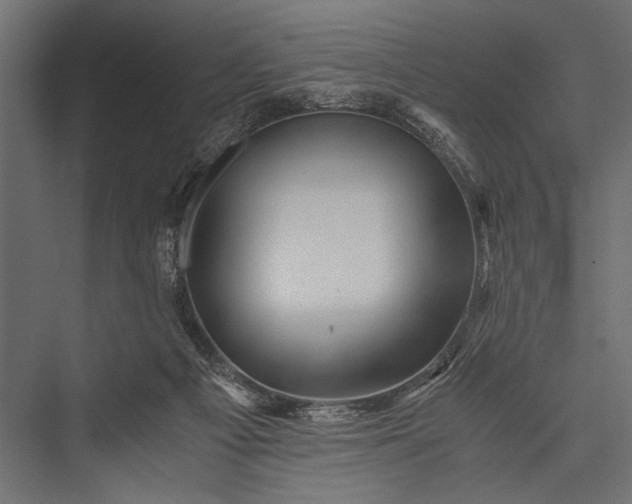 X0000076070121200610061612