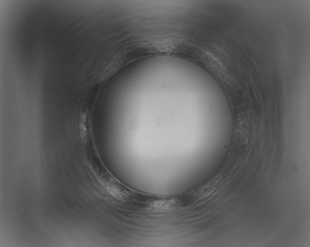 X0000076070122200610061612