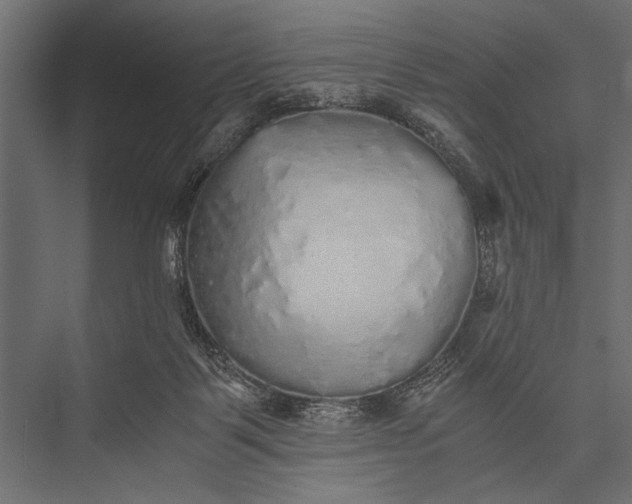 X0000076070123200610061612