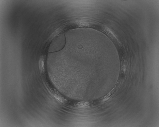 X0000076070124200610061612