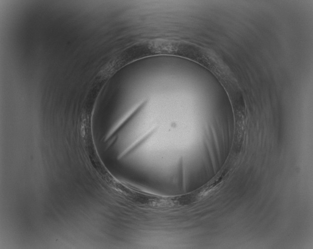 X0000076070125200610061612