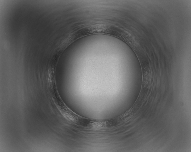 X0000076070126200610061612