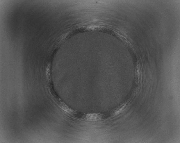 X0000076070127200610061612