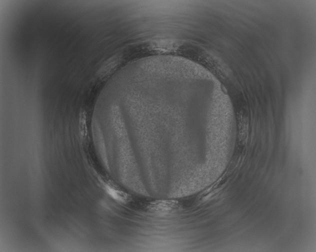 X0000076070128200610061612