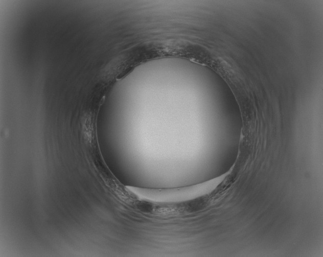 X0000076070129200610061612