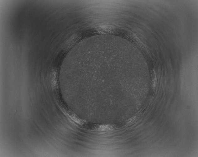 X0000076070130200610061612