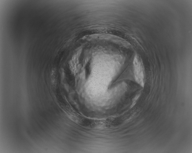 X0000076070131200610061612