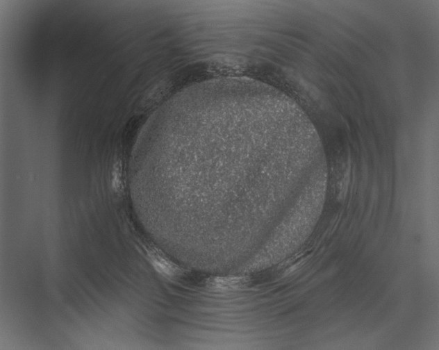 X0000076070134200610061612