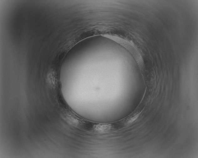 X0000076070135200610061612