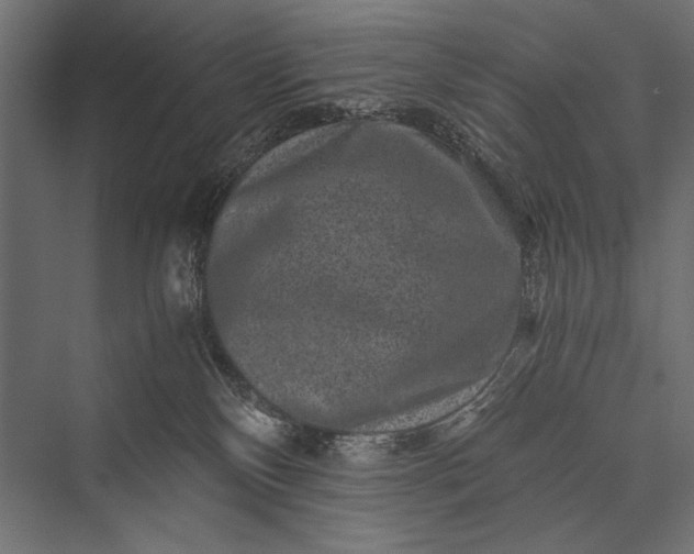 X0000076070136200610061612