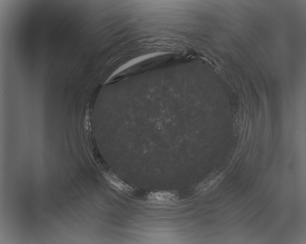 X0000076070137200610061612