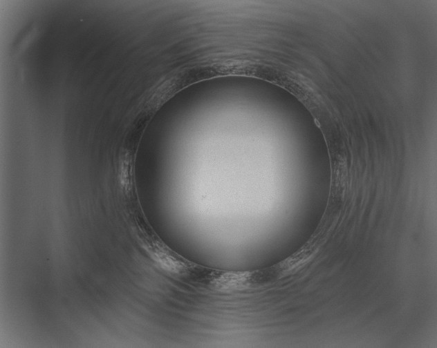 X0000076070138200610061612