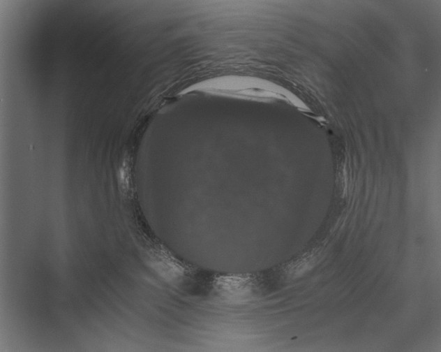 X0000076070139200610061612