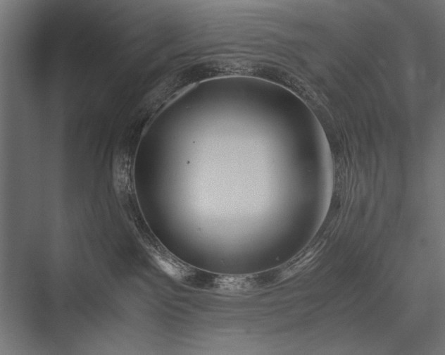 X0000076070141200610061612