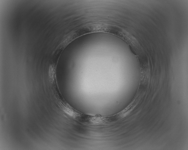 X0000076070142200610061612