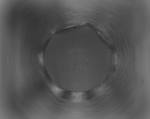 X0000076070143200610061612