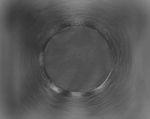 X0000076070144200610061612