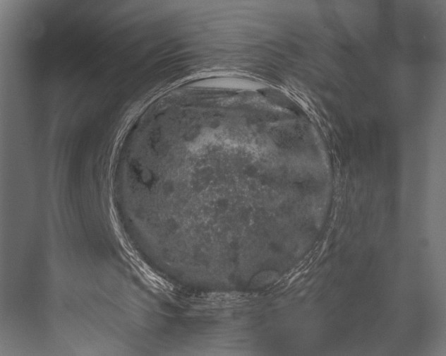 X0000076070145200610061611