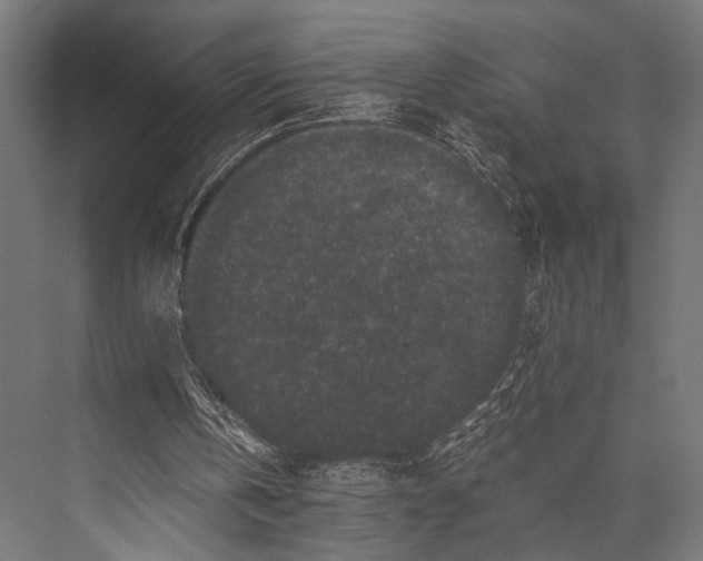 X0000076070146200610061611