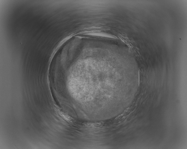 X0000076070147200610061611