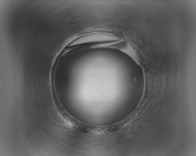 X0000076070148200610061611