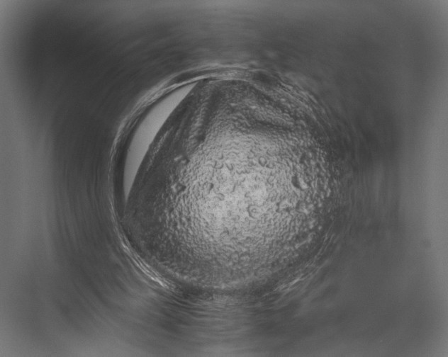 X0000076070149200610061611