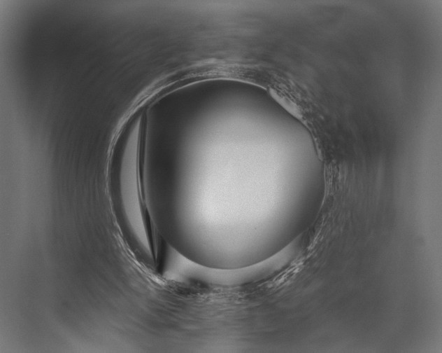 X0000076070150200610061611