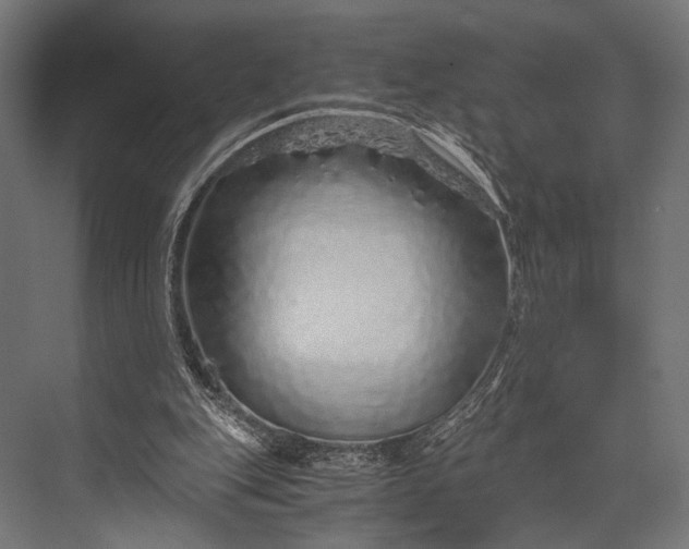 X0000076070151200610061611