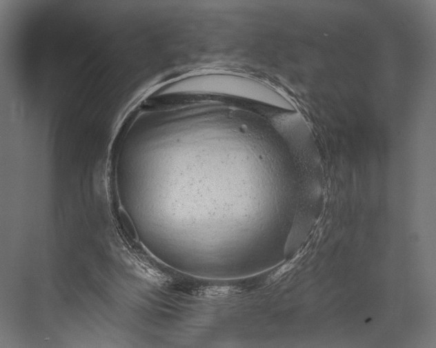 X0000076070152200610061611