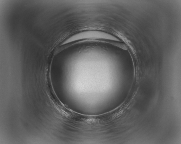 X0000076070153200610061611