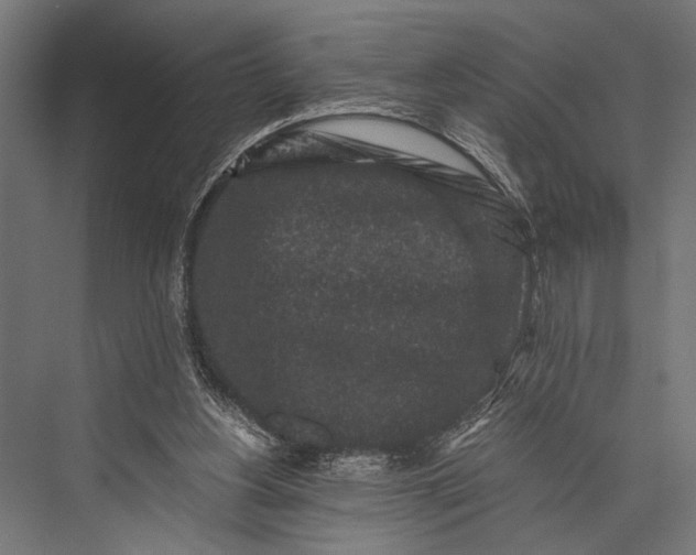 X0000076070156200610061611