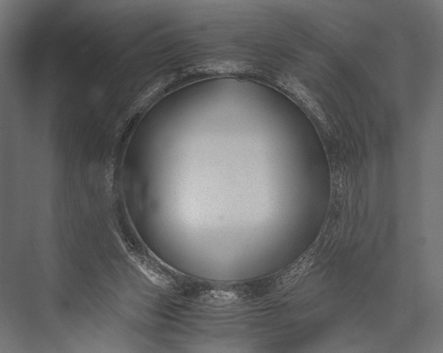 X0000076070159200610061611