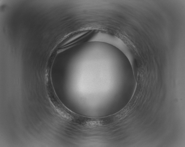 X0000076070160200610061611