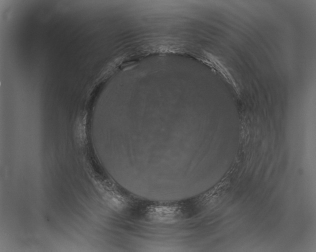 X0000076070163200610061611