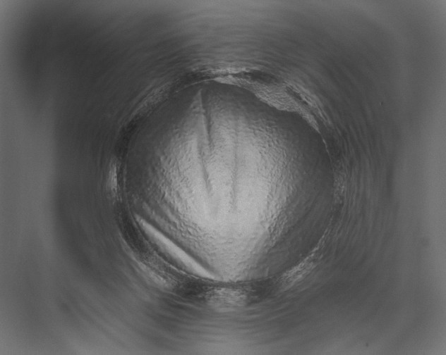 X0000076070166200610061611