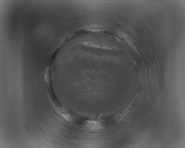 X0000076070167200610061611