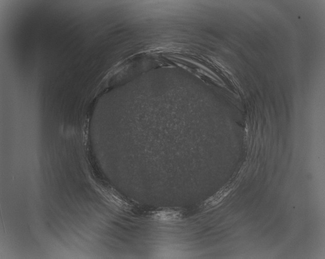 X0000076070168200610061611