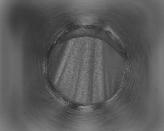 X0000076070170200610061611