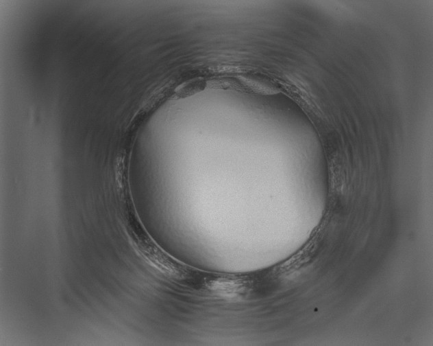 X0000076070171200610061611