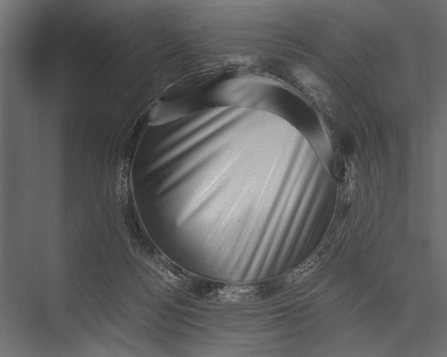 X0000076070172200610061611