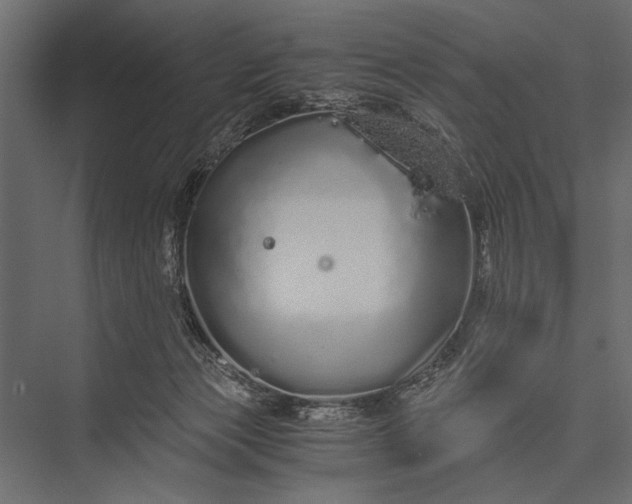 X0000076070173200610061611