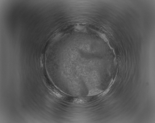 X0000076070174200610061611