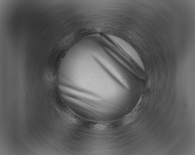 X0000076070176200610061611