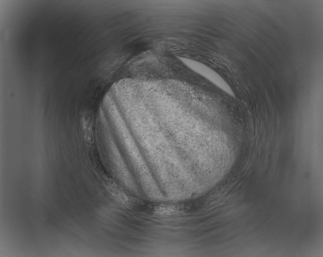 X0000076070177200610061611