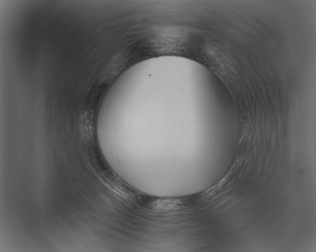 X0000076070179200610061611