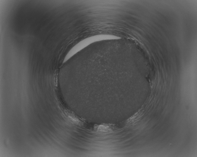 X0000076070180200610061611